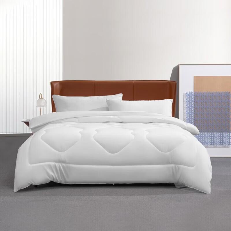 

Mercury Seven-Hole Antibacterial Lightweight All-Season Quilt