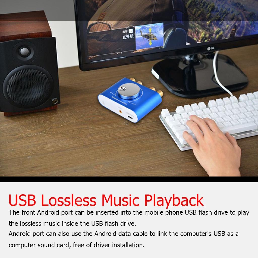 100W digitální zesilovač Hifi Stereo Bluetooths 12V 4.2 Domácí audio výkonový zesilovač