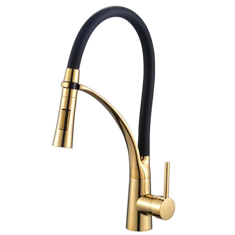 TLXT Golden Universal Swivel Cold Water Kitchen Faucet