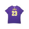 Nike LeBron James Lakers NBA Jersey T-Shirt Men Tops Purple AR4887-557