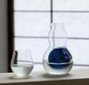 ADERIA Craft Sake Glass Hanayaka Design Award Dishwasher Safe 230ml Japanese Sake Glass Made in Japan Perfect for Cold Gift L6698 - (Good Winner) - -