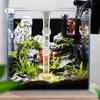 Transparent Fish Tank Shrimp Feeders Glass Fish Food Feeder Bowl Shrimp Feeding Tube  Fish Tank