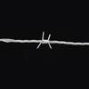 Haisidick Barbed Wire Security Fence