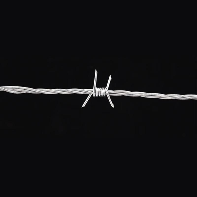 Haisidick Barbed Wire Security Fence