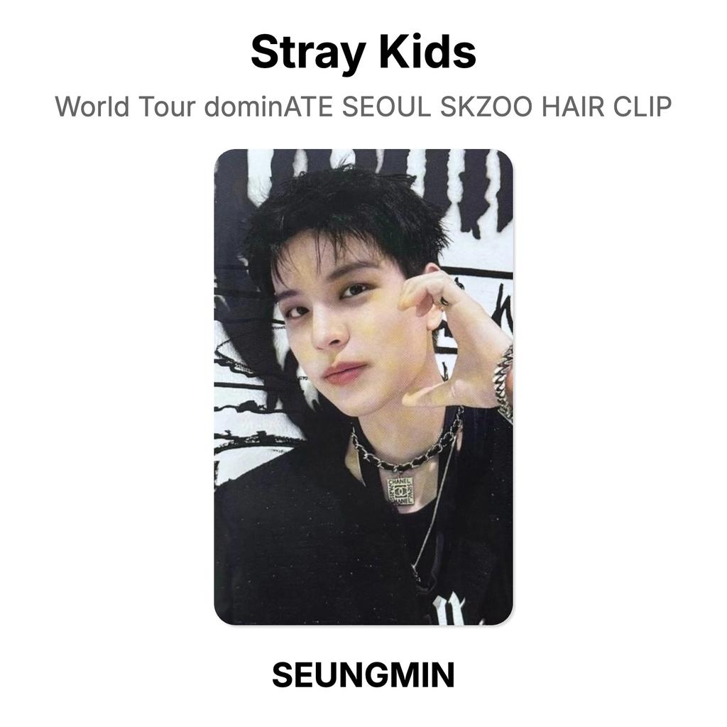 Stray Kids World Tour dominATE SEOUL SKZOO HAIR CLIP Official Photocard