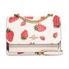 Klare 21 Strawberry Print Chain Shoulder Strap Leather Accordion Bag Women Shoulder Bag White Red CH333-IMCAH