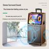 Soaiy SA-K10S Portable Outdoor KTV & Instrument Speaker
