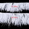 Feather1M Leather Pink Ostrich Feathers Trim 10-22cm Real Ostrich Plumes for Dress Sleeve Jacket Edge Burlesque Carnival Costume Design