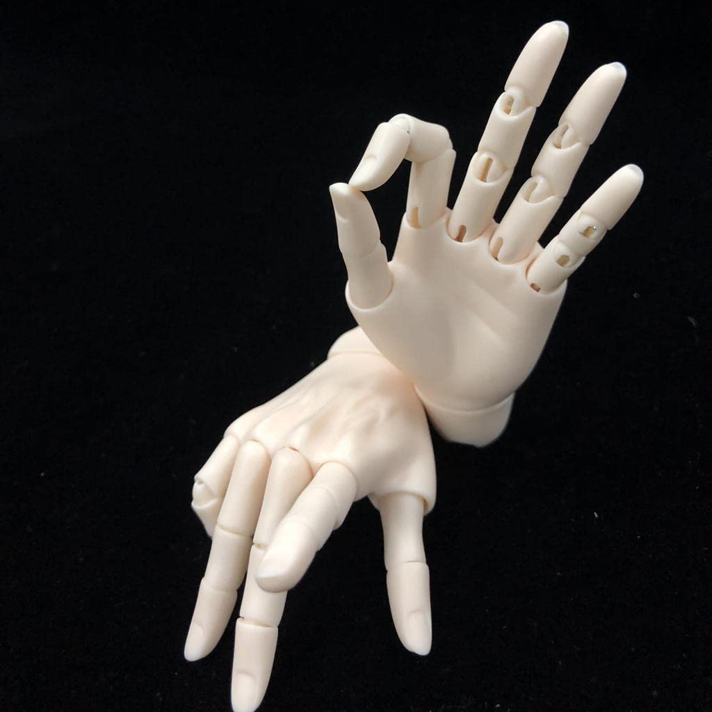 P Prettyia Hand Flexible Male Doll Hand Model Doll Making 2 Colors Normal Skin 15-joint 1/3BJD -