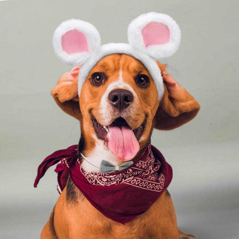 Maus Kostüm Zubehör Maus Ohren Stirnband Schwanz Blindenstock für Halloween Cosplay Party Verkleidung Tierkostüme