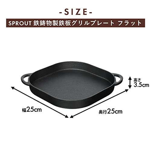 Pearl Metal Steak Plate, Flat, 24x24cm, Cast Iron Grill Plate, Sprout Design, HB-4622