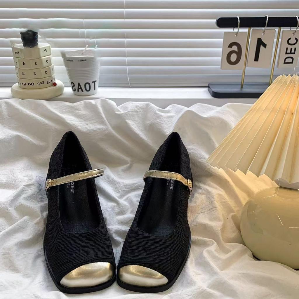 French thick heel small fragrant Mary Jane single shoes women's shoes new spring and autumn square head black evening shoes