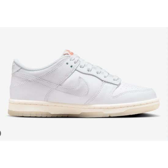 Nike Dunk Low SE GS Rainbow Swoosh FN4861-100 Kid