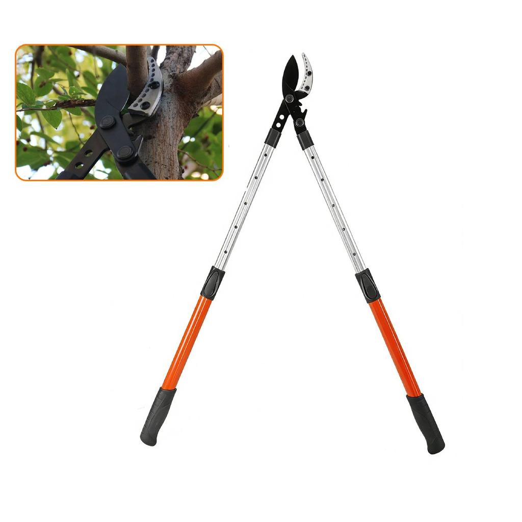 Verocis Extendable Gardening Shears Extends Up To Includes Replacement Teflon Fits 5cm Diameter Aluminum Handle with Ideal for Home and Bonsai Weighs