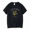 Santorini T Shirt Greek Island Greece Clothes Soft and Comfortable long or short sleeves vintage Washed Stretched