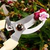 1 Pcs Multifunctional Garden Pruning Shears Fruit Picking Scissors Trim Weed Household Potted Branches Scissors Gardening Tools