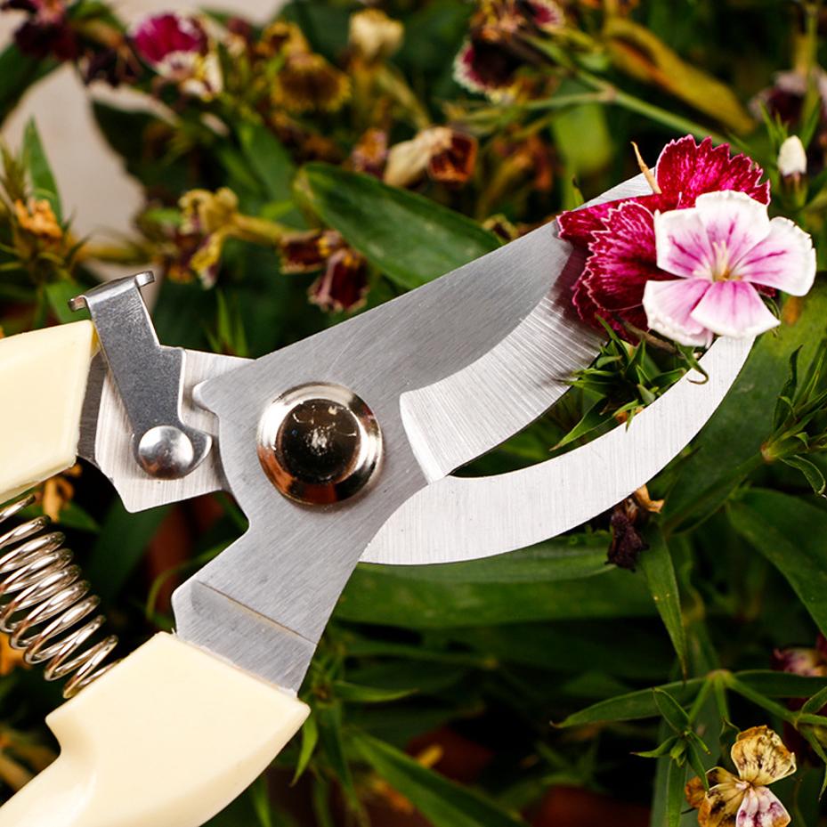 1 Pcs Multifunctional Garden Pruning Shears Fruit Picking Scissors Trim Weed Household Potted Branches Scissors Gardening Tools