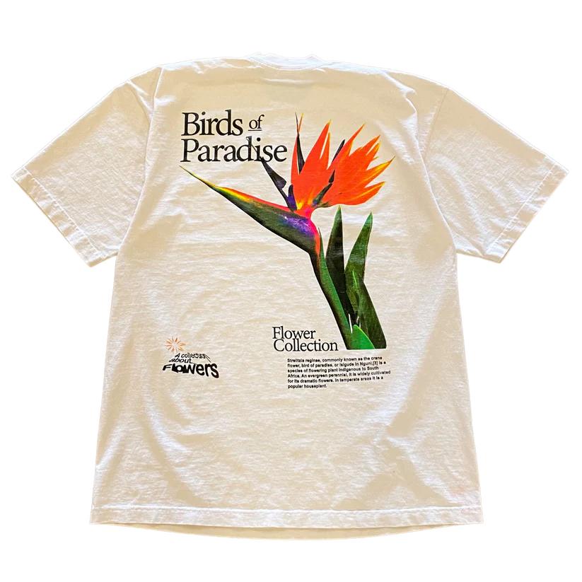 Y2K Classic Retro Harajuku Men Women Personalized Apple Printed Pattern T Shirt Street Wear High Quality Round Neck Short Sleeve