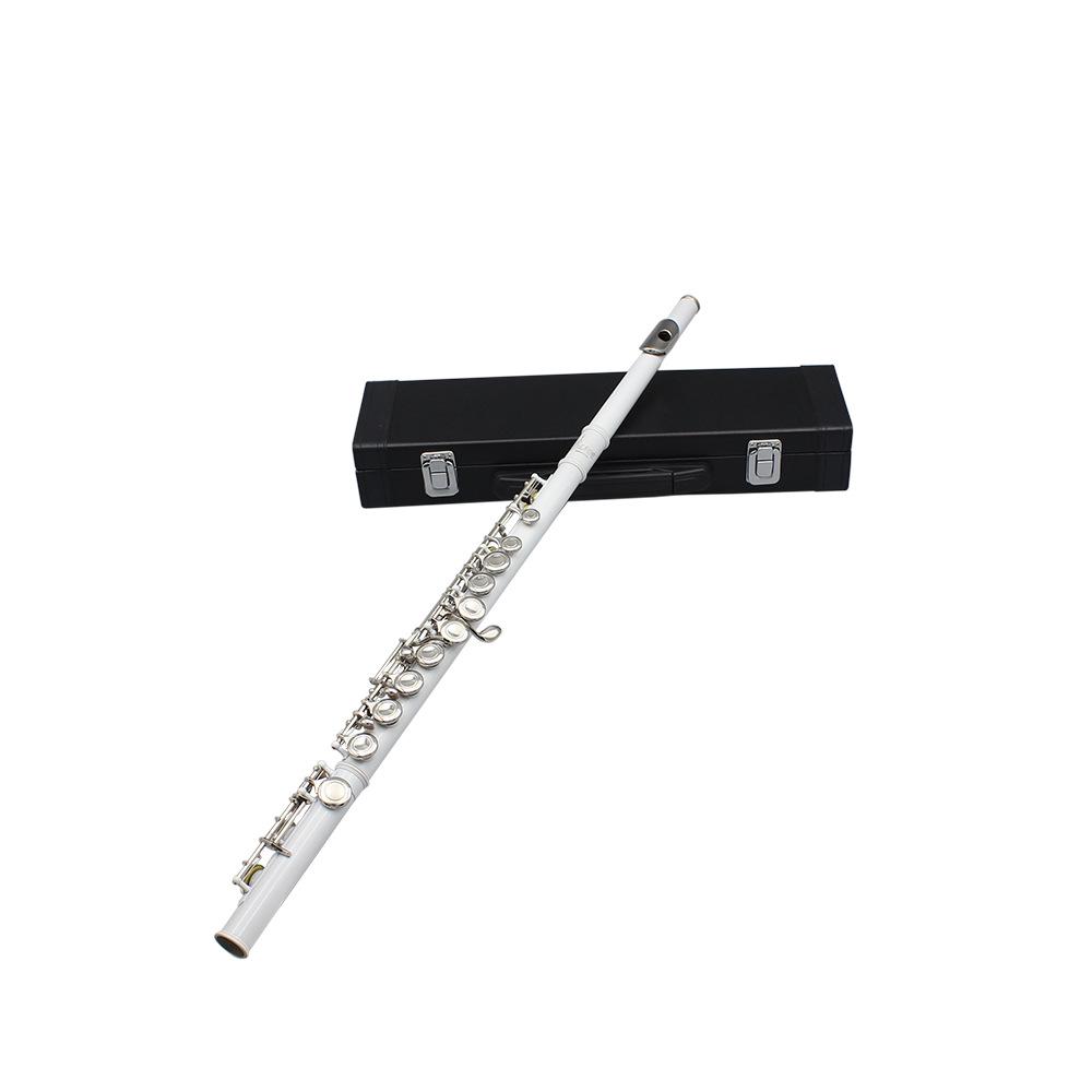 LADE 16-Hole C Key Colored Flute for Children, Students, & Adults - Professional Western Musical Instrument.