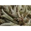 Premium Yunnan White Buds Raw Pu-erh Tea Loose Leaf