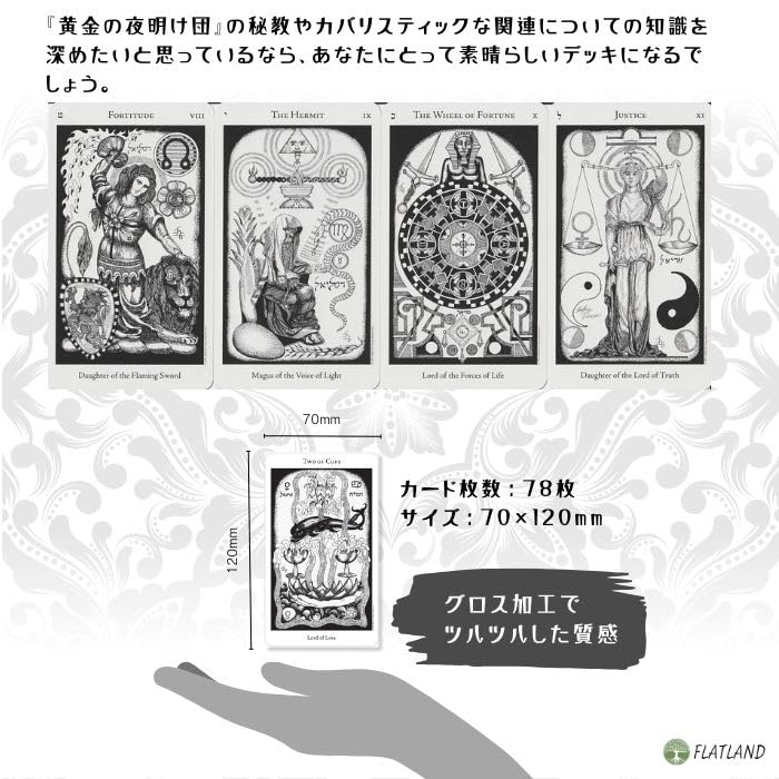 Hermetic Tarot Deck, Tarot Reading Instructions, Japanese Instruction Manual Included, Authentic Tarot Cards, 78 Cards, Monotone
