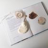White Irregular Shell Pendant for Beach and Seaside DIY Accessories