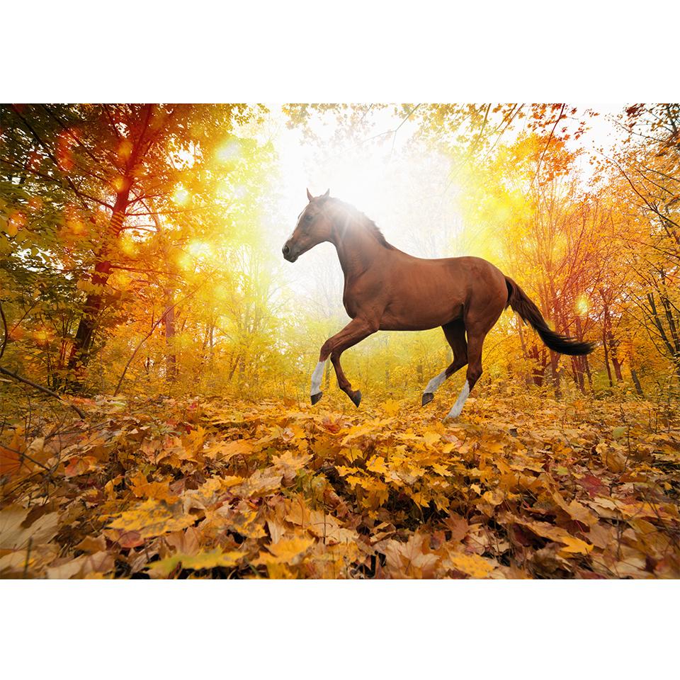 DIY 5D Diamond Painting Animal Horse Rhinestone Pictures Cross Stitch Kit Full Diamond Embroidery Mosaic Gifts Home Decor