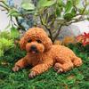 Für Miniatur-Teddyhund-Armaturenbrett-Ornament - Niedliches Pudel-Design, Harzmaterial, Ideal für Auto-Innenraum und Wohnkultur