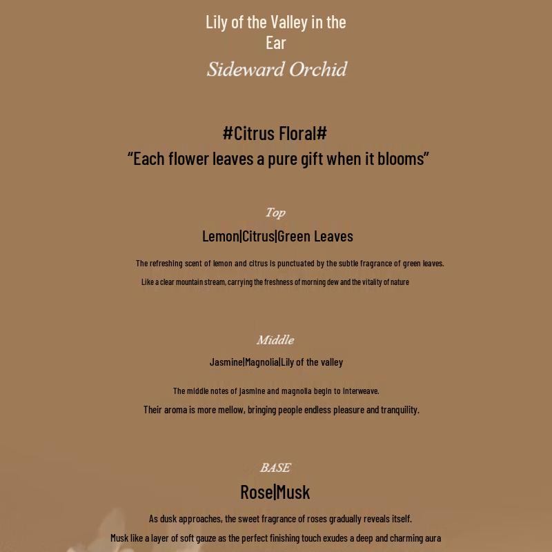 Dear Irene Hair Essence Oil Spray