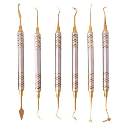6 Piezas Espátula de Relleno de Resina Compuesta Dental Doble Cabeza Mezcladora Espátula para Esculpir Cabeza Chapada en Titanio Relleno