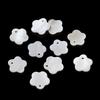 10pcs Natural Pearl Shell Pendant Heart Star Shaped Artificial Pearl Shell Charms for DIY Necklaces Jewelry Making Accessories