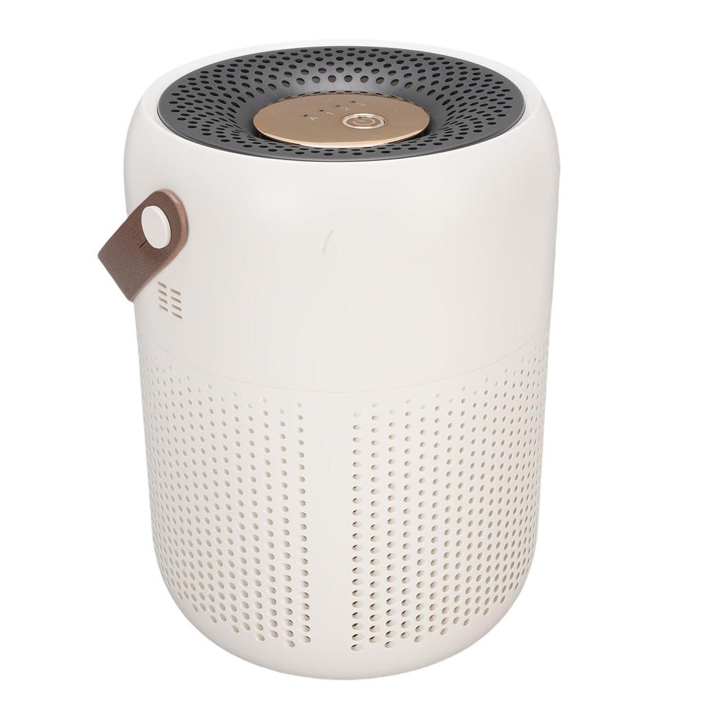 Desktop Air Purifier Ion Release Quiet Portable Odor Removal Indoor Air Purifier for Home Bedroom