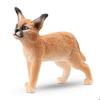 Figurine - SCHLEICH - Young Caracal - White - 5.5 X 1.8 X 4.5 Cm - From 3 Years