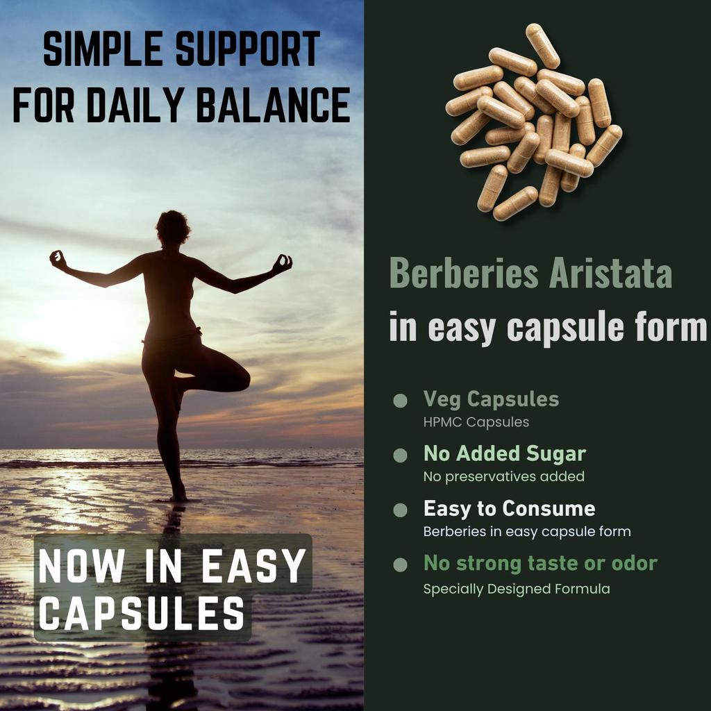 Organic Berberies Aristata Root 500 mg apoia a saúde do coração 60 cápsulas NÃO-OGM