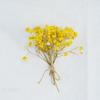 Mini Dried Flower Bouquet for DIY Decoration and Gift Accessories