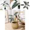 Planta Artificial Estilo Folha de Alocasia Odora com Cesta Artesanal Para Decoração de Casa