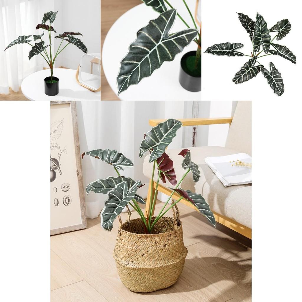 Planta Artificial Estilo Folha de Alocasia Odora com Cesta Artesanal Para Decoração de Casa