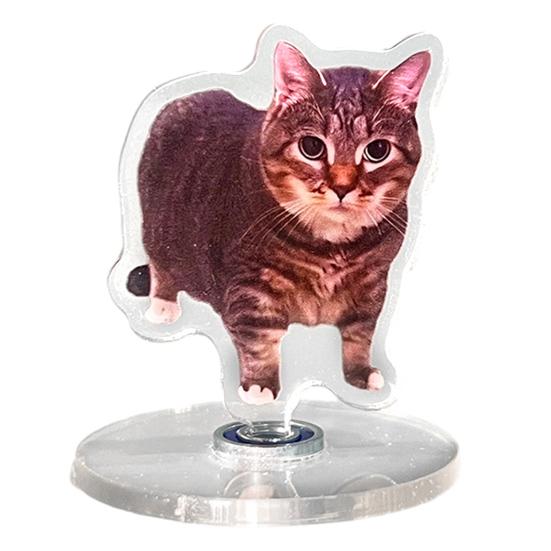 jijijing 2D Flat Rotating Acrylic Cat Sign for Car Dashboard, Desk Decor, Cute Print Tabletop Centerpiece with Base Home Office, Interior Gift Lovers