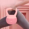 Fashionable Sports And Leisure Exercise Home Dumbbell Arm Workout