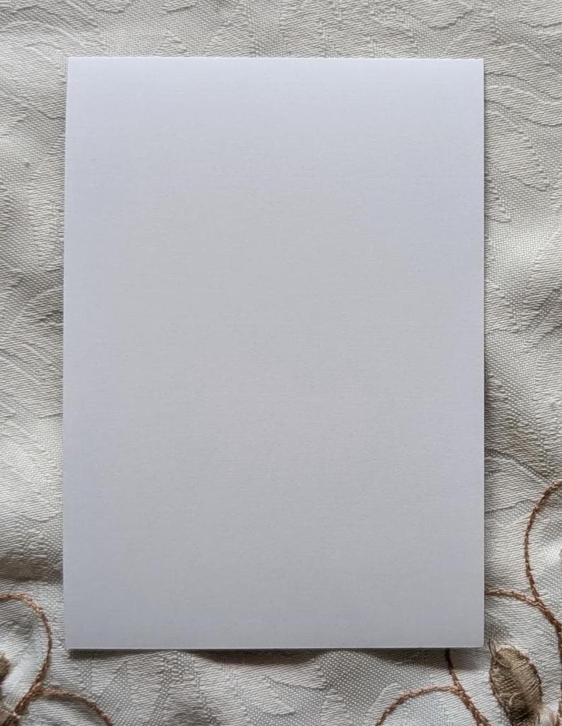 [USED] Eito Konishi Animate Purchase Bonus Bromide 5 Takara's Biidoro Blu-ray