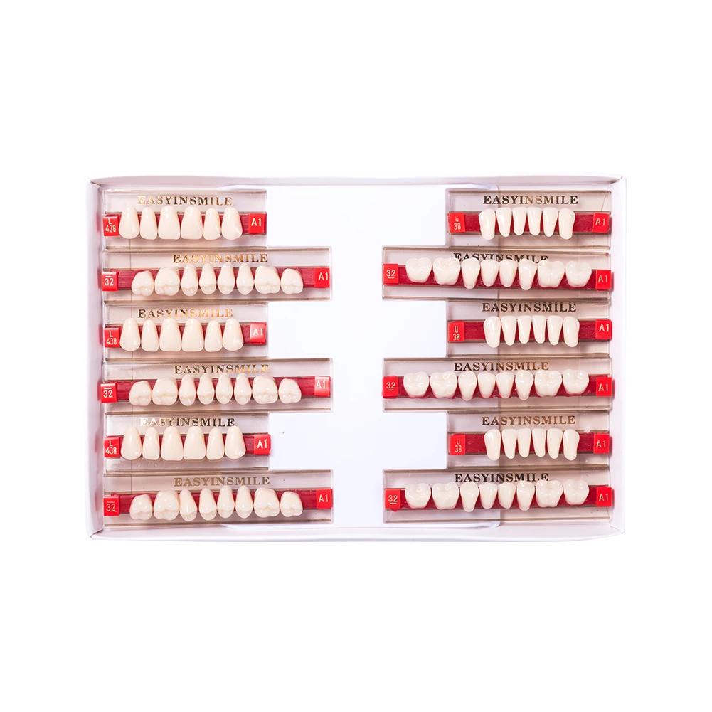 16/12 Sätze/Karton Zahnprothese Zähne Oberkiefer Frontzähne Unterkiefer Seitenzähne Dentier Synthetisches Polymerzähne Zahnmedizinische Ausbildungsmodell