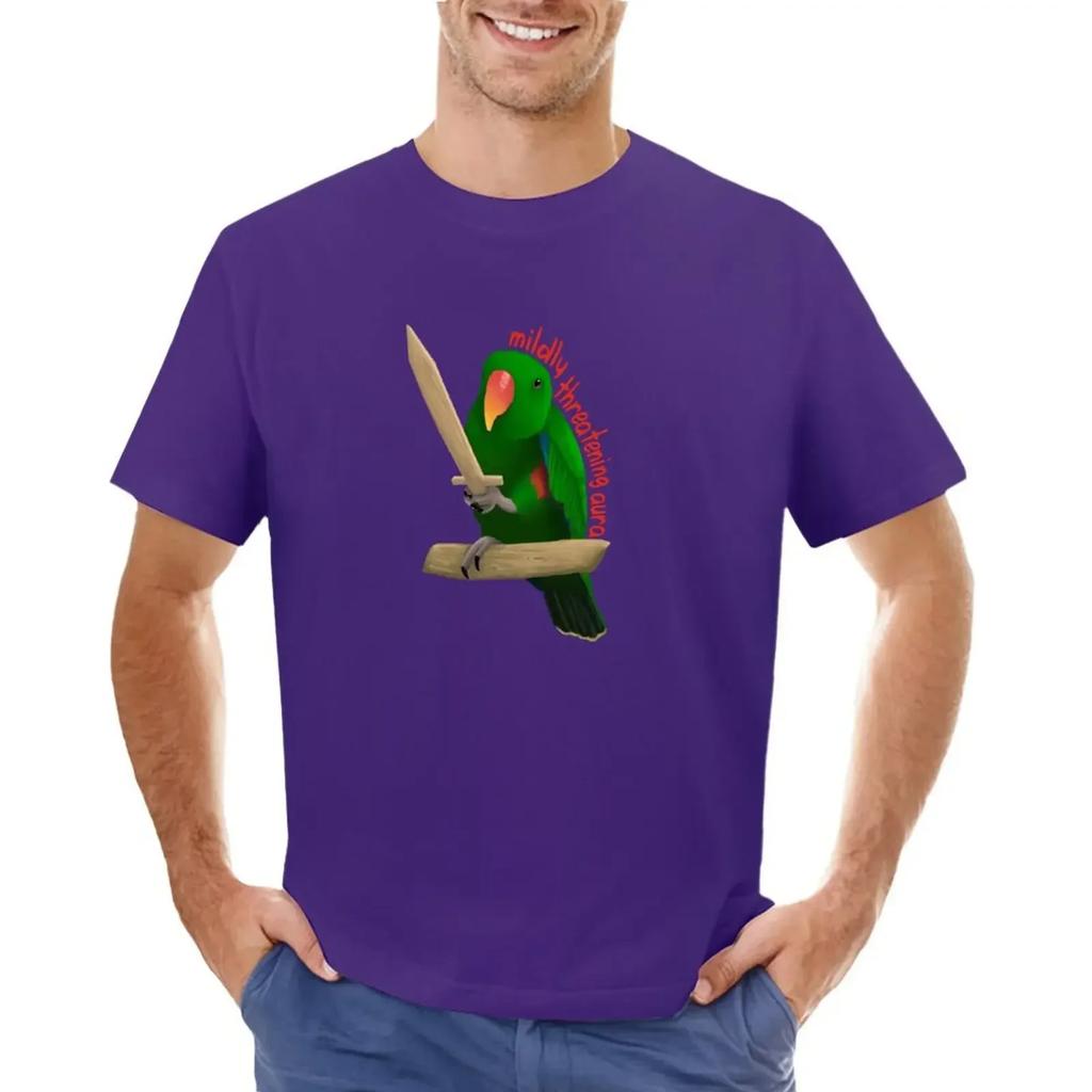 Mildly Threatening Aura Eclectus T-shirt Plain Short Sleeve Tee Fruit of the Loom Mens T Shirts