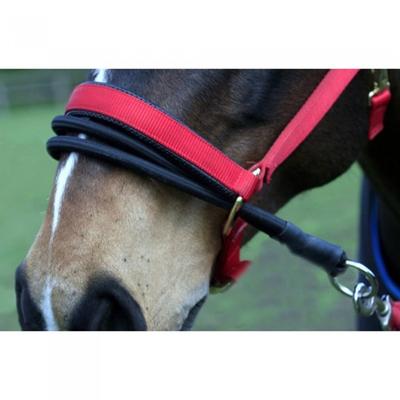 Sundry Ezyloader Horse Head Collar Adapter