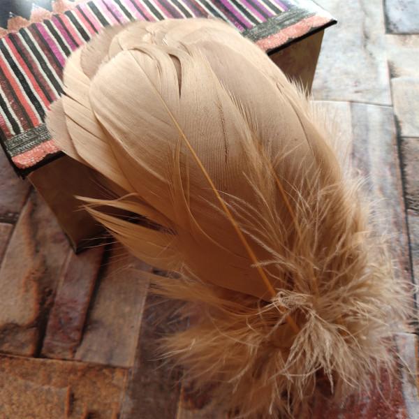 20pcs Natural Goose Feathers 31 Color Loose Goose Feathers 12-20cm Long Christmas Decoration Clothing Shoes Hat Accessories