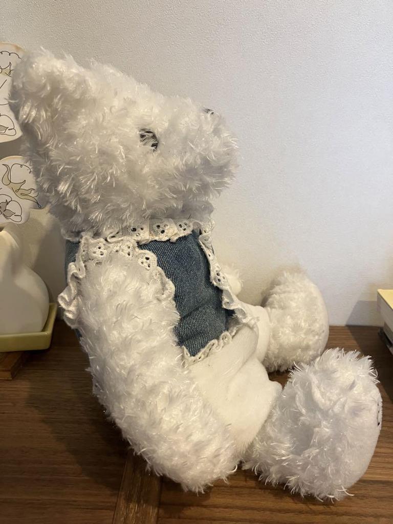 [USED] Rare LEXUS Teddy Bear & Keychain