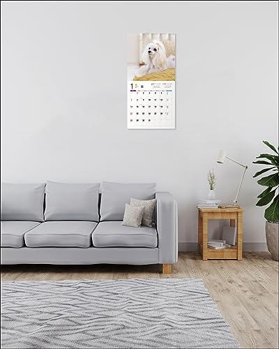 2024 Calendar Maltese (Seibundo Shinkosha Calendar)