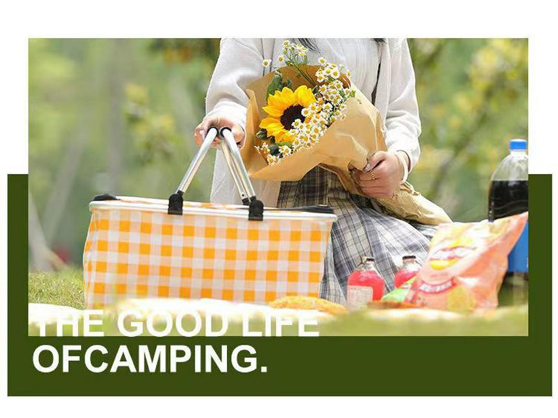 Portable Insulated Picnic Basket & Folding Cooler Bag
