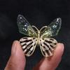 Girls Luxury Sense Women Brooch Clothes Accessories Korean Style Badge Transparent Wings Butterfly