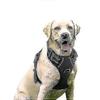Cães – Colares e correias para cães