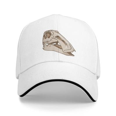 Sombreros y gorras – Gorras de béisbol